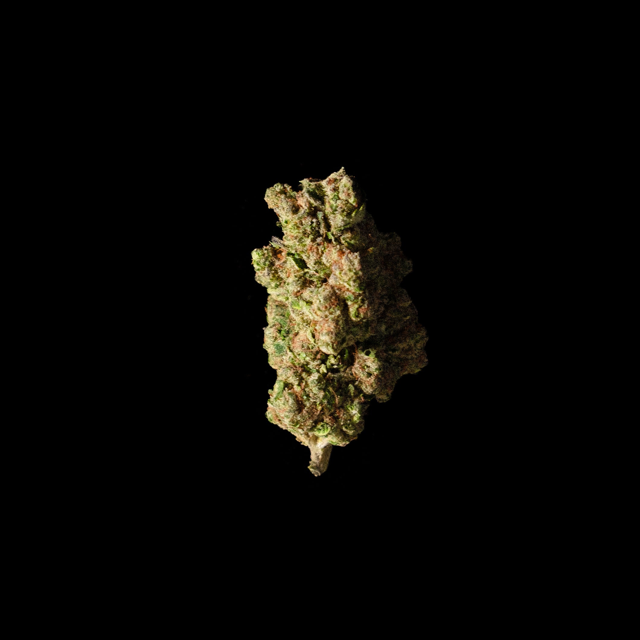 DISCO FLOWER • Grape Gas